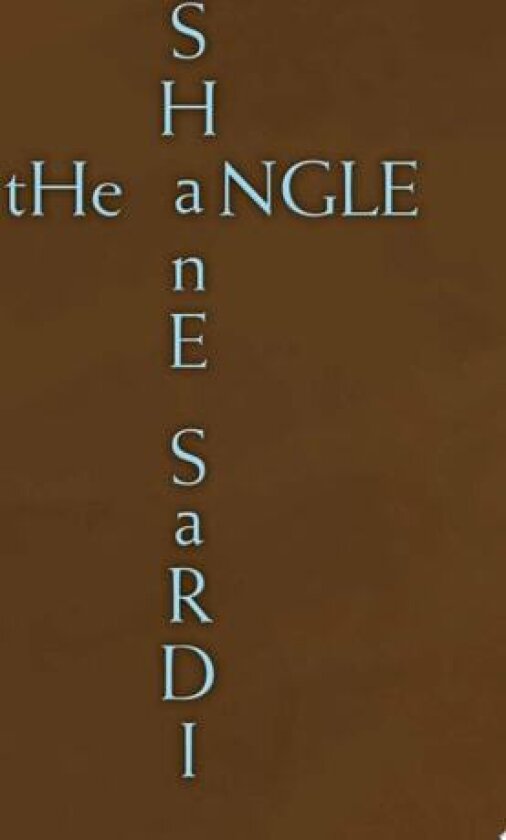 The Angle av Shane Sardi (Hardcover)