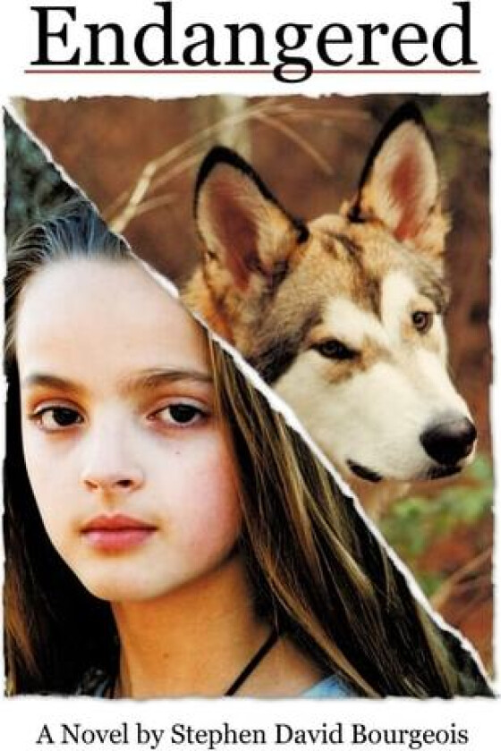 Endangered av Stephen David Bourgeois (Hardcover)