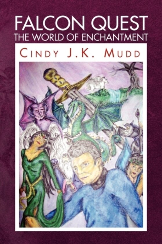 Falcon Quest the World of Enchantment av Cindy J K Mudd (Paperback)