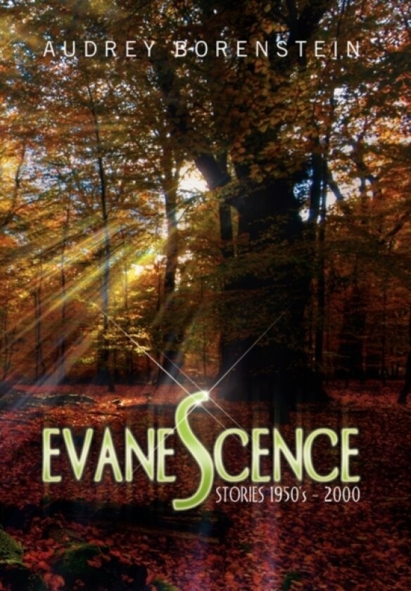 Evanescence av Audrey Borenstein (Hardcover)