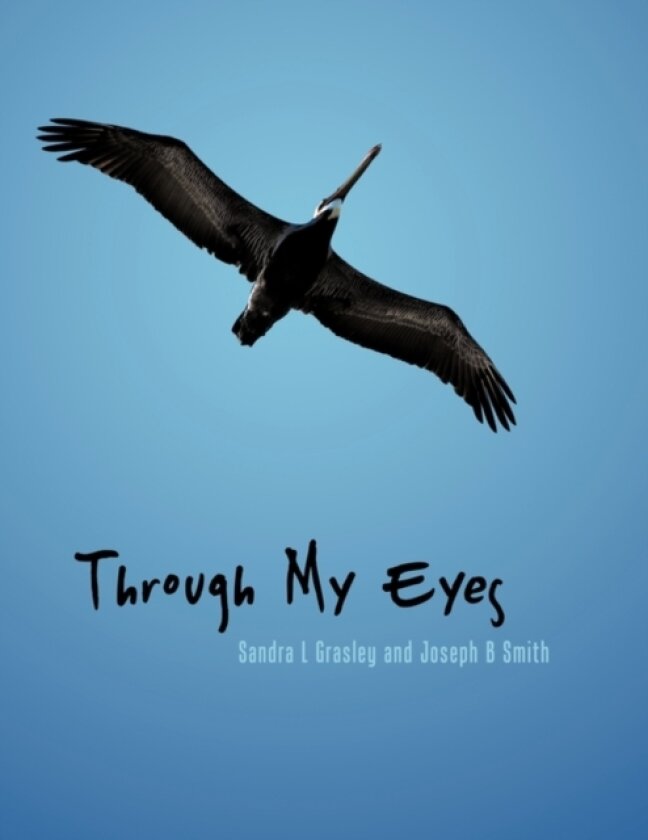 Through My Eyes av Sandra L Grasley, Joseph B Smith (Paperback)
