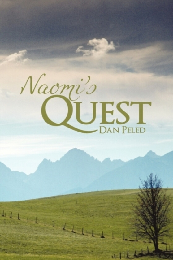 Naomi's Quest av Dan Peled (Paperback)