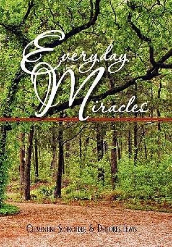 Everyday Miracles av Clementine Schroeder & Dolores Lewis, S Clementine Schroeder & Dolores Lewis (Paperback)