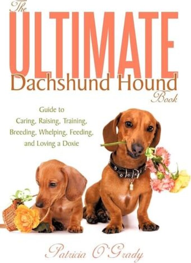 The Ultimate Dachshund Hound Book: Guide to Caring, Raising, Training, Breeding, Whelping, Feeding, and Loving a Doxie av Patricia O'Grady (Hardcover)