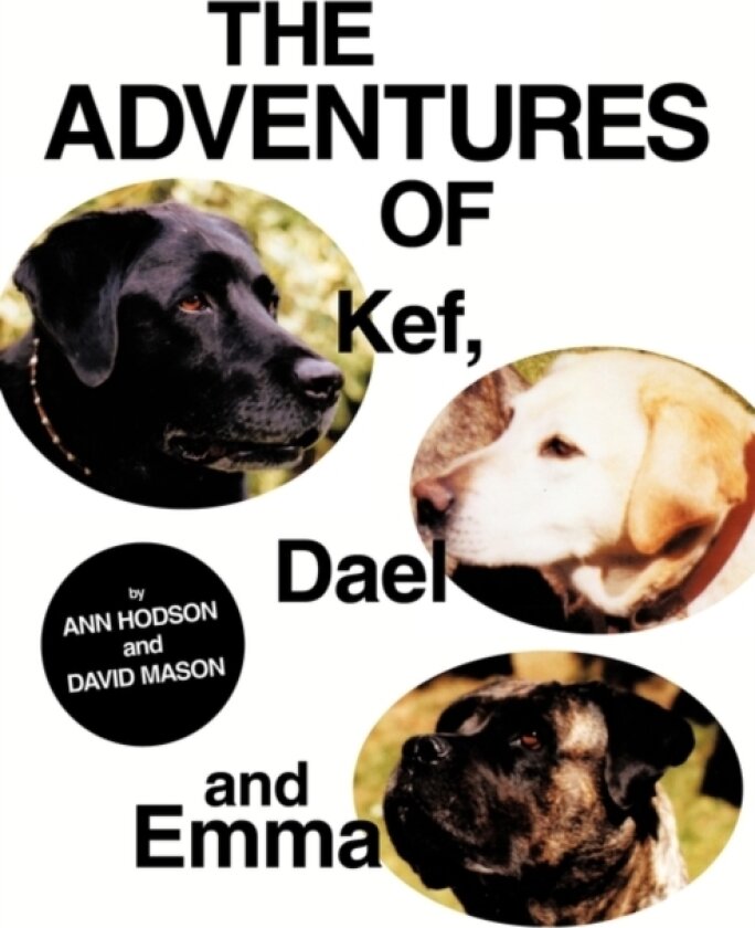 The Adventures of Kef, Dael and Emma av Ann Hodson, David Mason (Paperback)