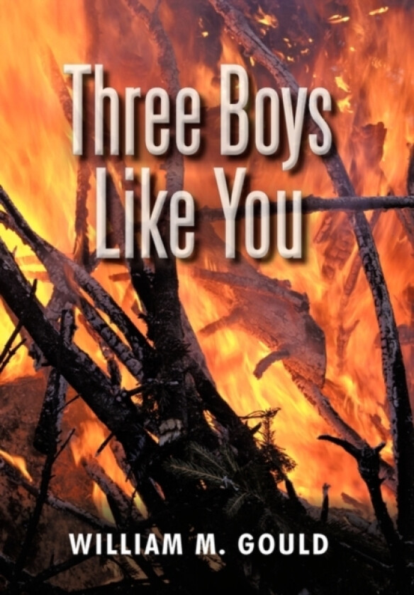 Three Boys Like You av William M Gould (Hardcover)