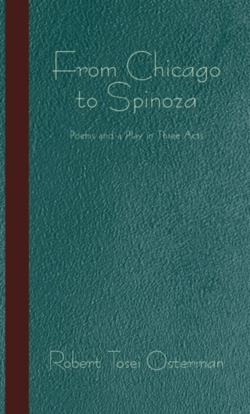 From Chicago to Spinoza av Robert Tosei Osterman (Hardcover)
