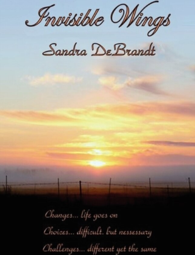Invisible Wings av Sandra Debrandt (Paperback)