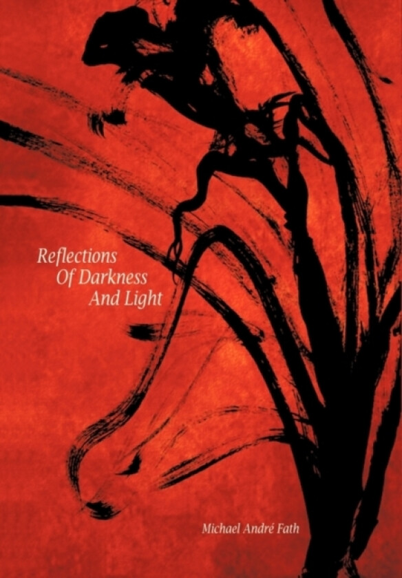 Reflections of Darkness and Light av Michael Andre Fath (Hardcover)