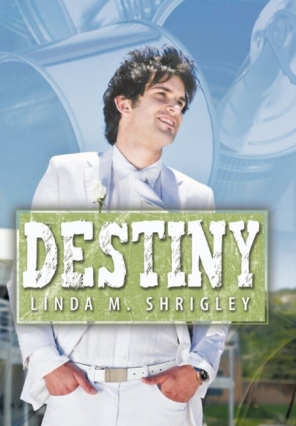 Destiny av Linda M. Shrigley (Hardcover)