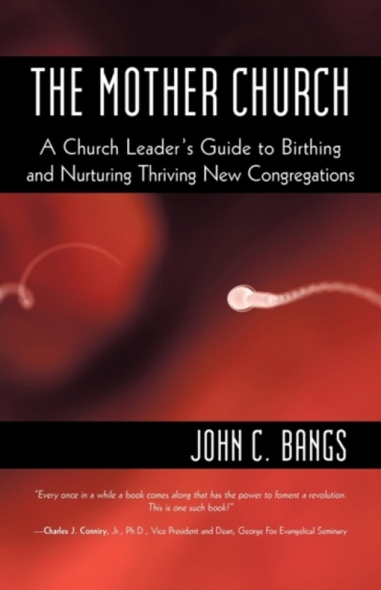 The Mother Church av John C Bangs (Paperback)