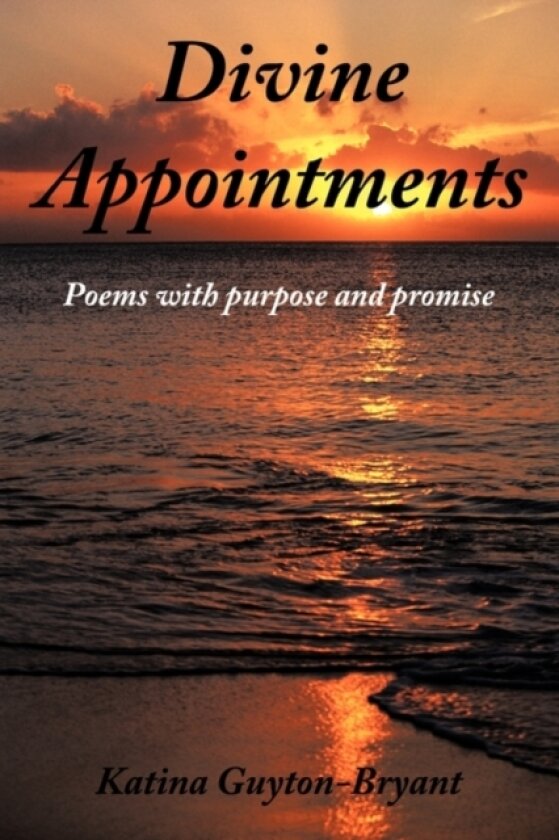 Divine Appointments av Katina Guyton-Bryant (Paperback)
