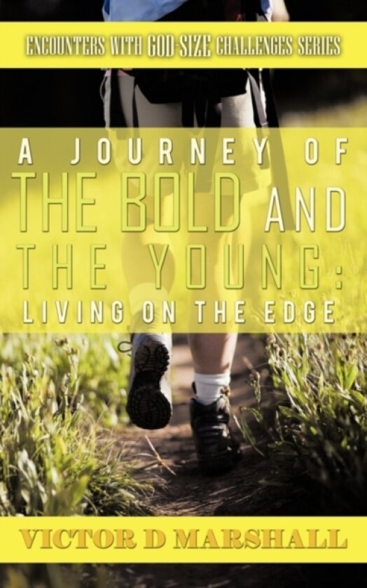 A Journey of the Bold and the Young av Victor D Marshall (Paperback)