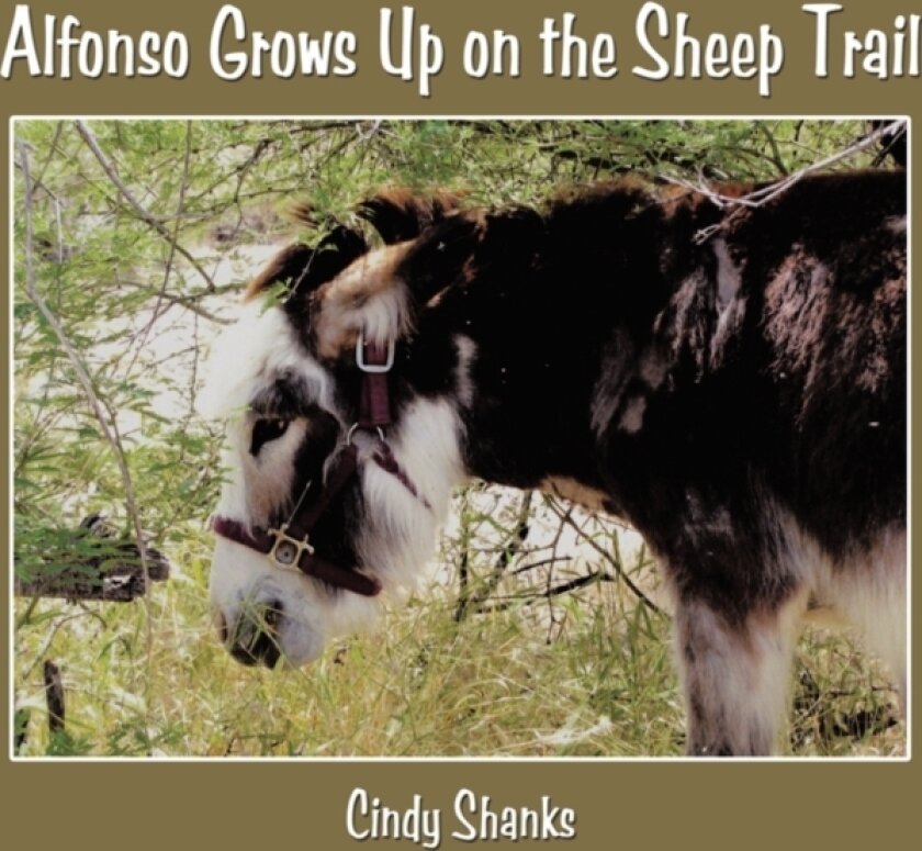 Alfonso Grows Up on the Sheep Trail av Cindy Shanks (Paperback)