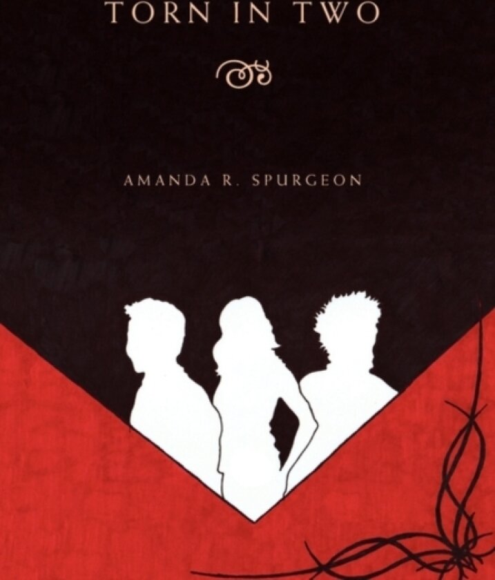 Torn in Two av Amanda R Spurgeon (Hardcover)
