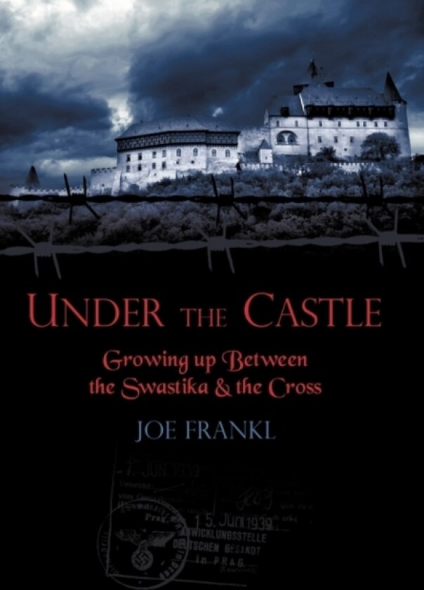 Under the Castle av Joe Frankl (Paperback)