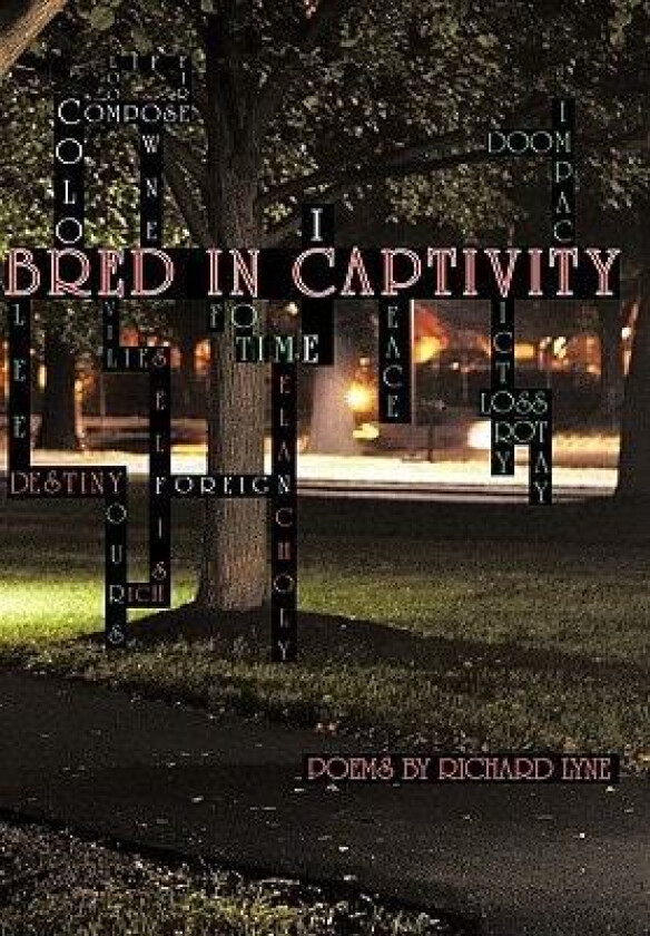 Bred in Captivity av Richard Lyne (Paperback)