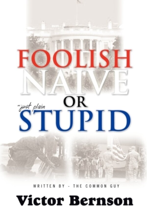 Foolish Naive or Just Plain Stupid av Victor Bernson (Paperback)