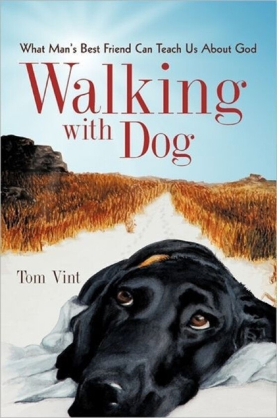 Walking with Dog av Tom Vint (Hardcover)