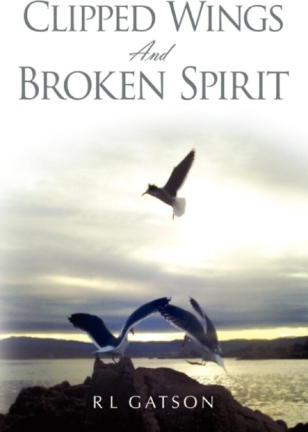 Clipped Wings and Broken Spirit av Rl Gatson (Paperback)