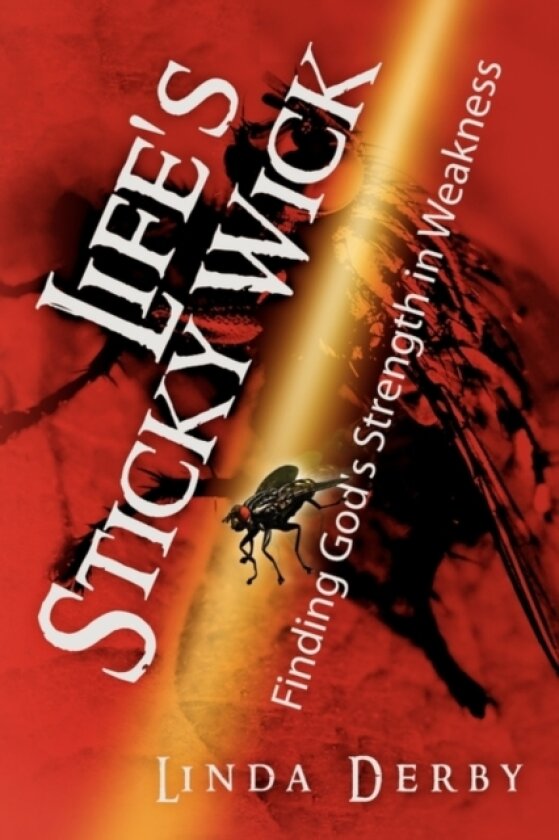 Life's Sticky Wick av Linda Derby (Paperback)
