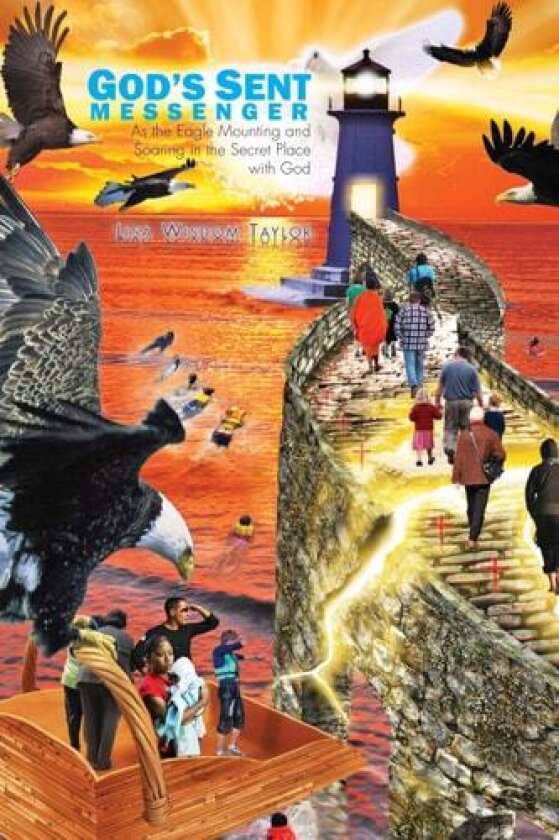 God's Sent Messenger av Lisa Wisdom Taylor (Hardcover)
