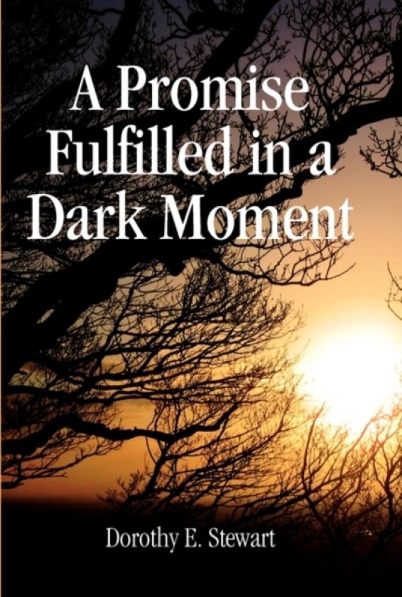 A Promise Fulfilled in a Dark Moment av Dorothy E Stewart (Hardcover)