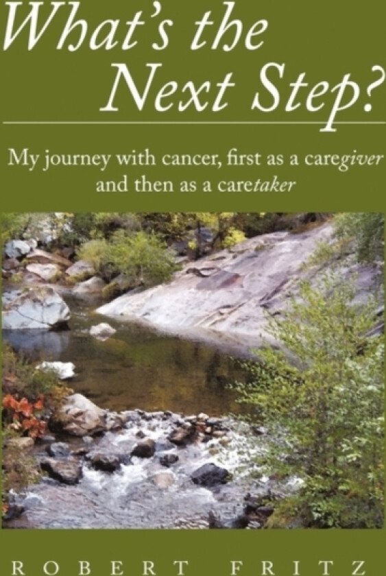 What's the Next Step? av Robert Fritz (Hardcover)