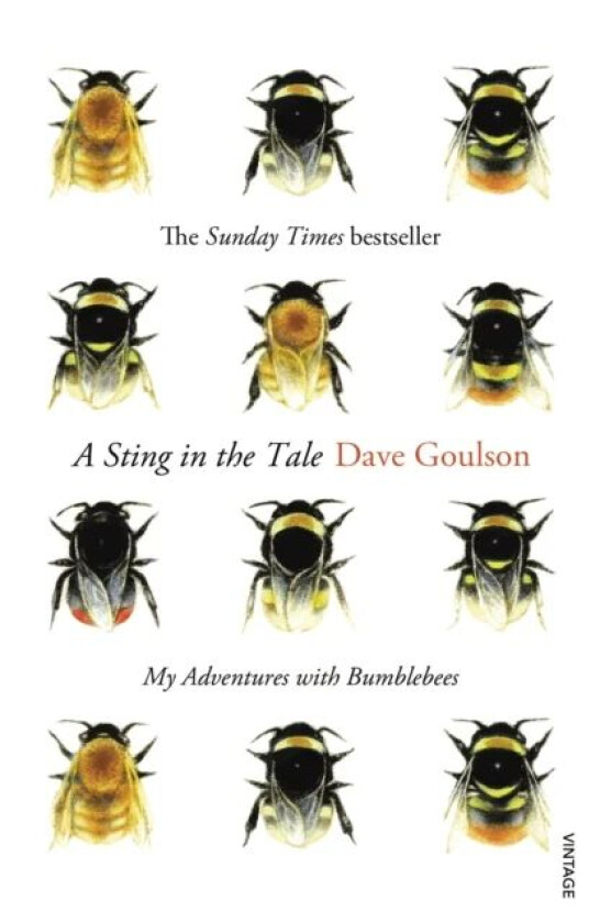 A Sting in the Tale av Dave Goulson