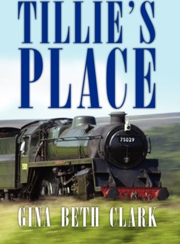 Tillie's Place av Gina Beth Clark (Paperback)