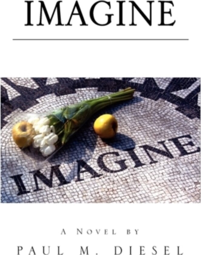 Imagine av Paul M Diesel (Paperback)