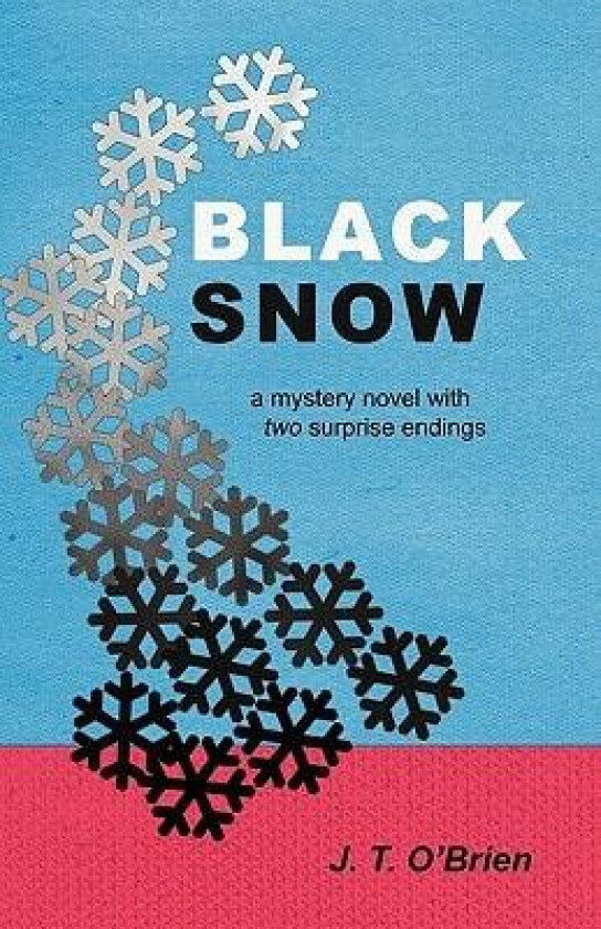 Black Snow av J. T. O'Brien (Paperback)
