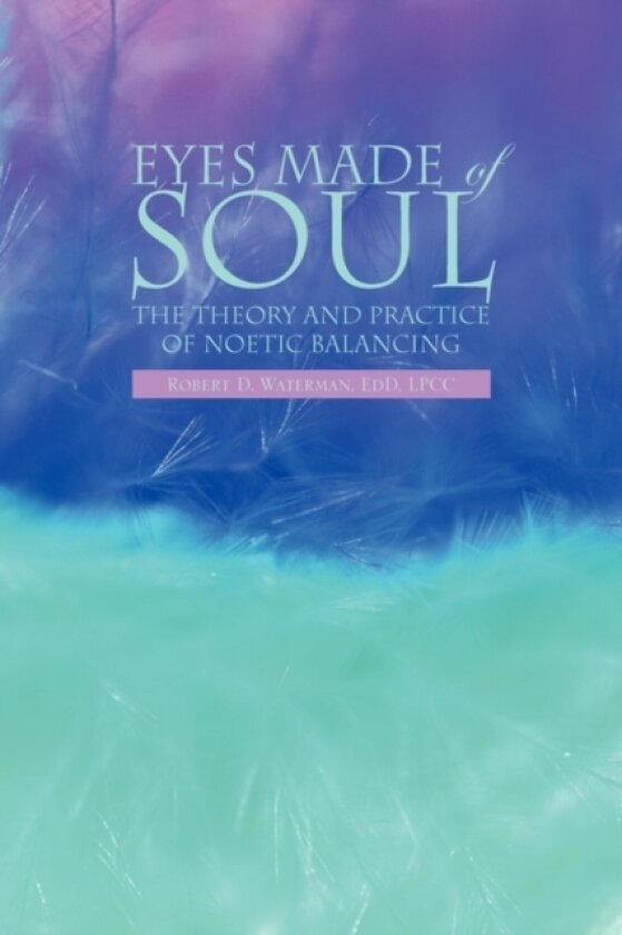 Eyes Made of Soul av Robert D Edd Lpcc Waterman (Hardcover)