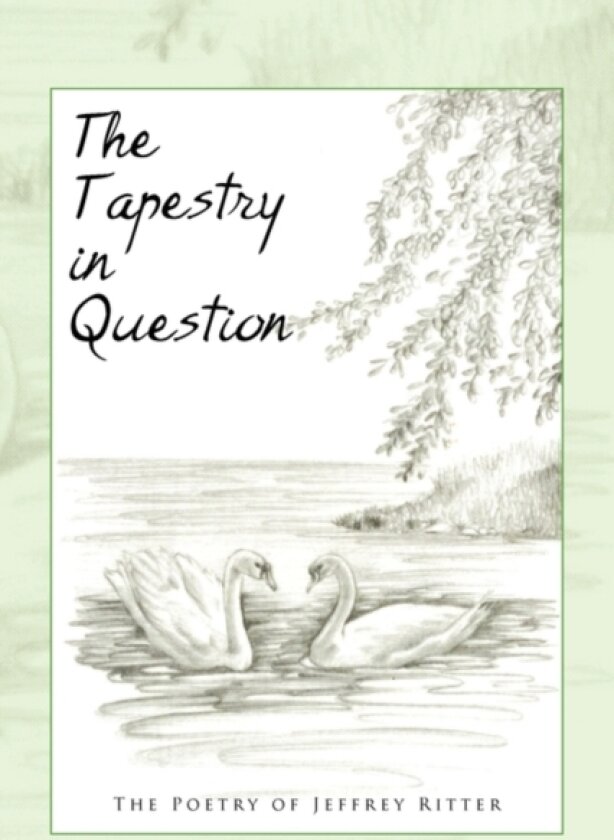 The Tapestry in Question av Jeffrey Ritter (Paperback)