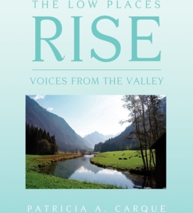 The Low Places Rise av Patricia A Carque (Paperback)