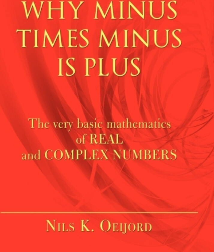 Why Minus Times Minus Is Plus av Nils K Oeijord (Paperback)