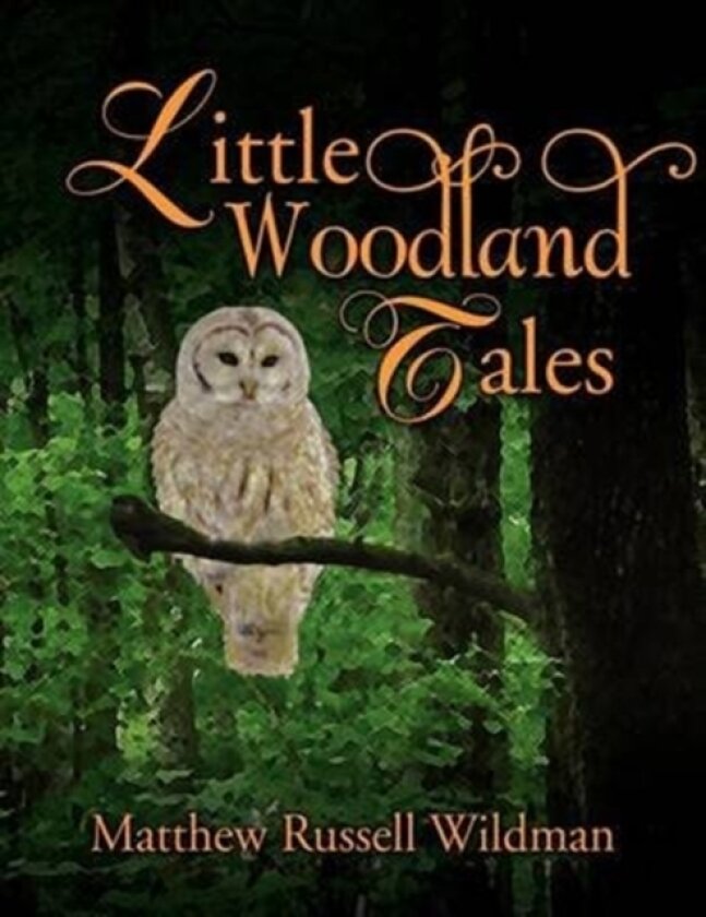 Little Woodland Tales av Matthew Russell Wildman (Paperback)