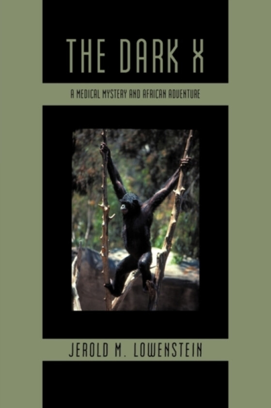 The Dark X av Jerold M Lowenstein (Paperback)