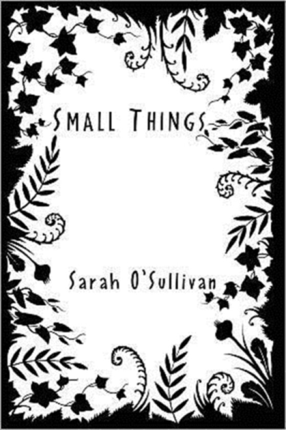 Small Things av Sarah O'Sullivan (Paperback)