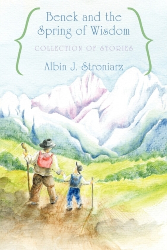 Benek and the Spring of Wisdom Collection of Stories av Albin J. Stroniarz (Paperback)