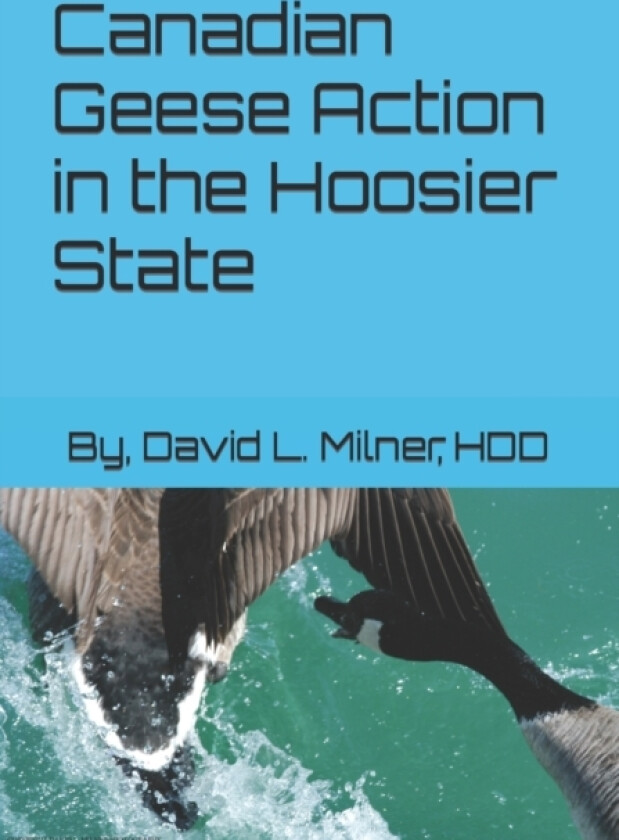 Canadian Geese Action in the Hoosier State av David L Milner Hdd (Paperback)