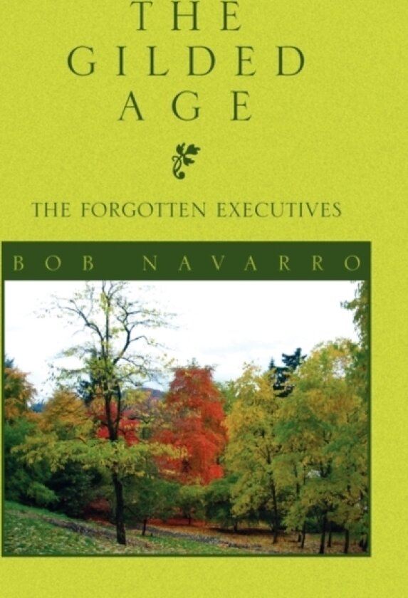 The Gilded Age av Bob Navarro (Paperback)