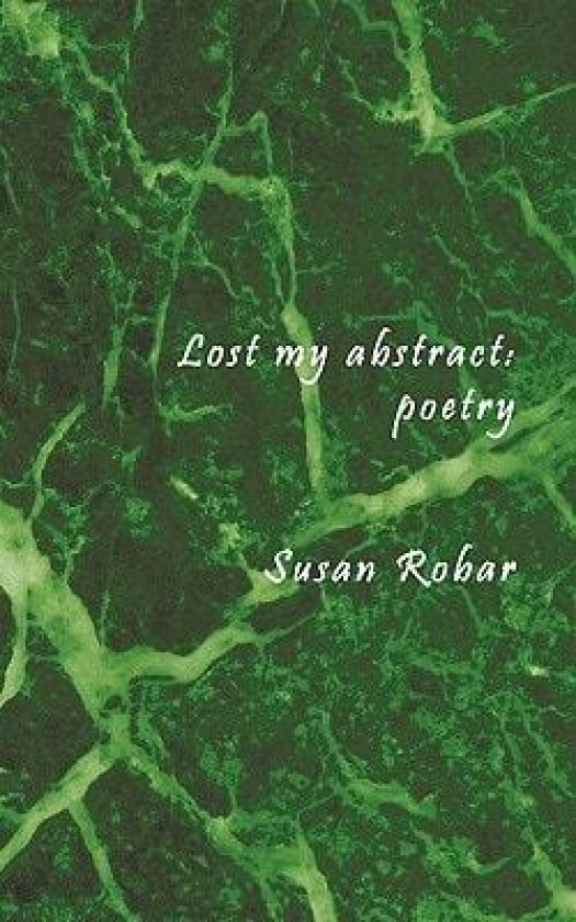 Lost My Abstract av Susan Robar (Paperback)
