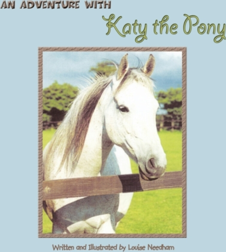 An Adventure with Katy the Pony av Louise Needham (Paperback)