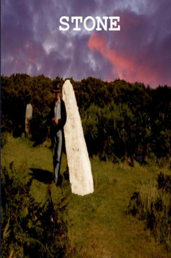 Stone av D J Fatz (Paperback)