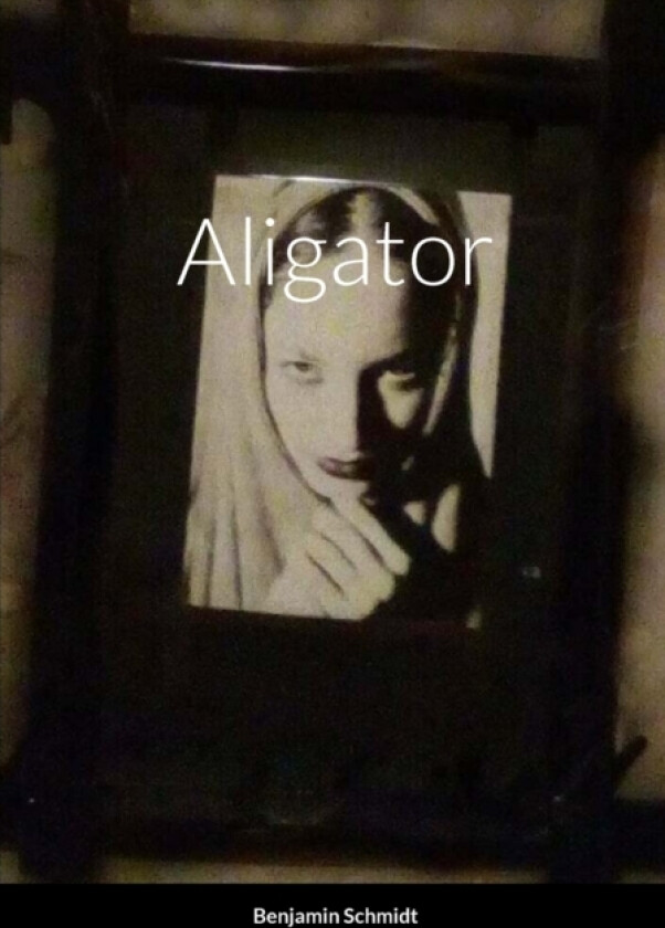 Aligator av Benjamin Schmidt (Paperback)