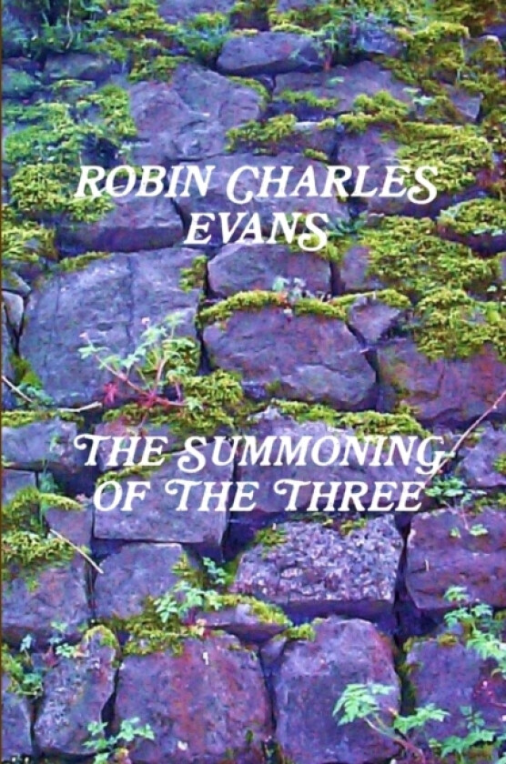 THE Summoning of the Three av ROBIN CHARLES EVANS (Paperback)