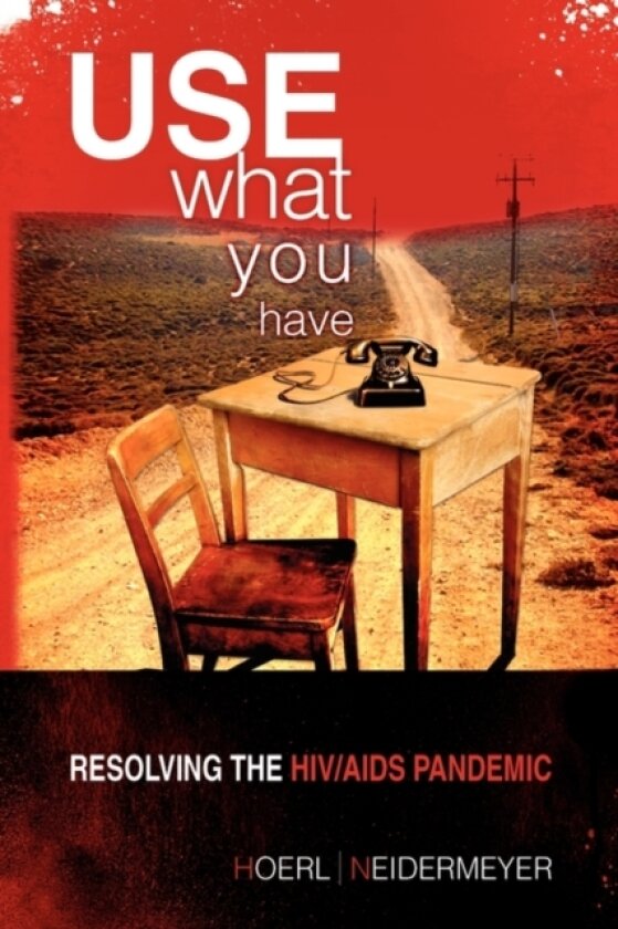 Use What You Have av Roger W Hoerl and Presha E Neidermeyer (Hardcover)