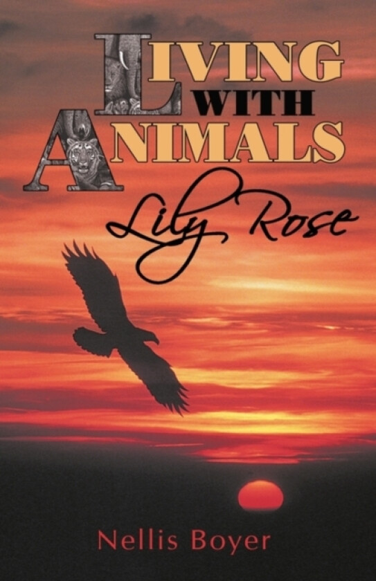 Lily Rose av Nellis Boyer (Hardcover)