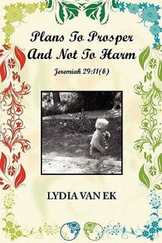 Plans To Prosper And Not To Harm: Jeremiah 29 11(b) av Lydia Van Ek (Paperback)